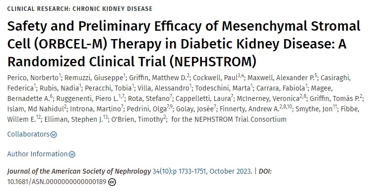 間充質(zhì)基質(zhì)細胞 (ORBCEL-M) 治療糖尿病腎病的安全性和初步療效：一項隨機臨床試驗 (NEPHSTROM)